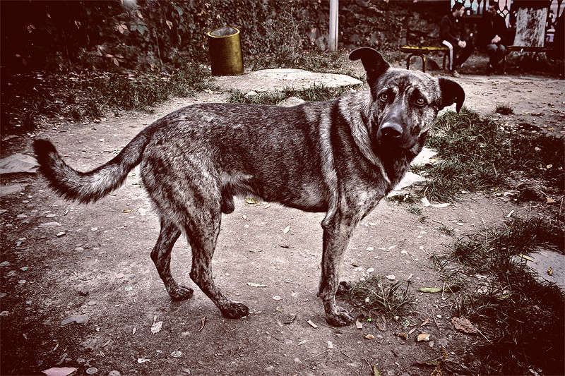 ����� ������� ����� �������  �� PhotoGeek.ru #�������� ��� #�������