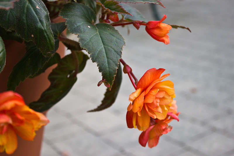 ... ����� �������  �� PhotoGeek.ru #������ ��� ������� #����� ��������������