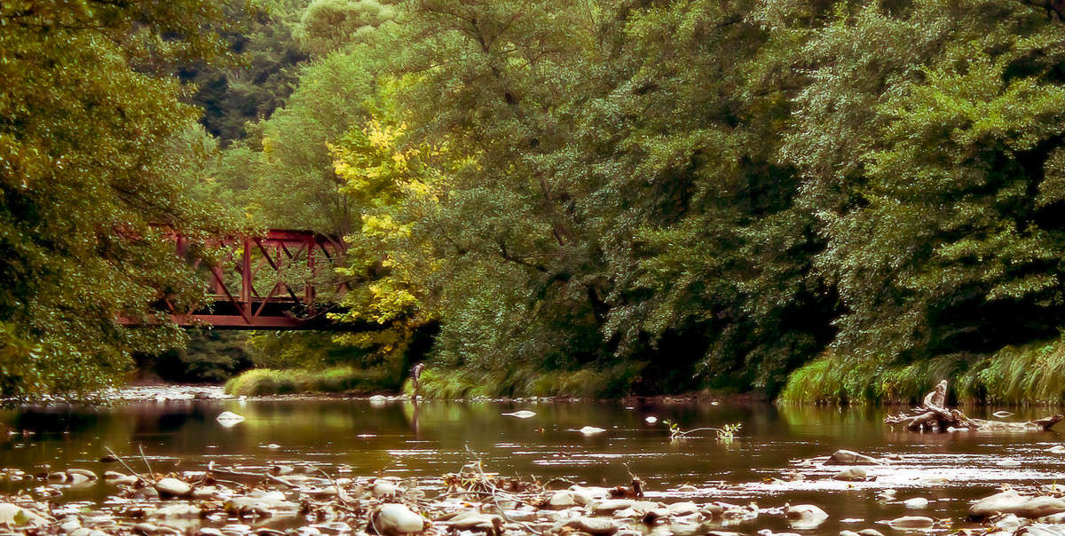 ������ ���� ����� �������  �� PhotoGeek.ru #������ ��� �������