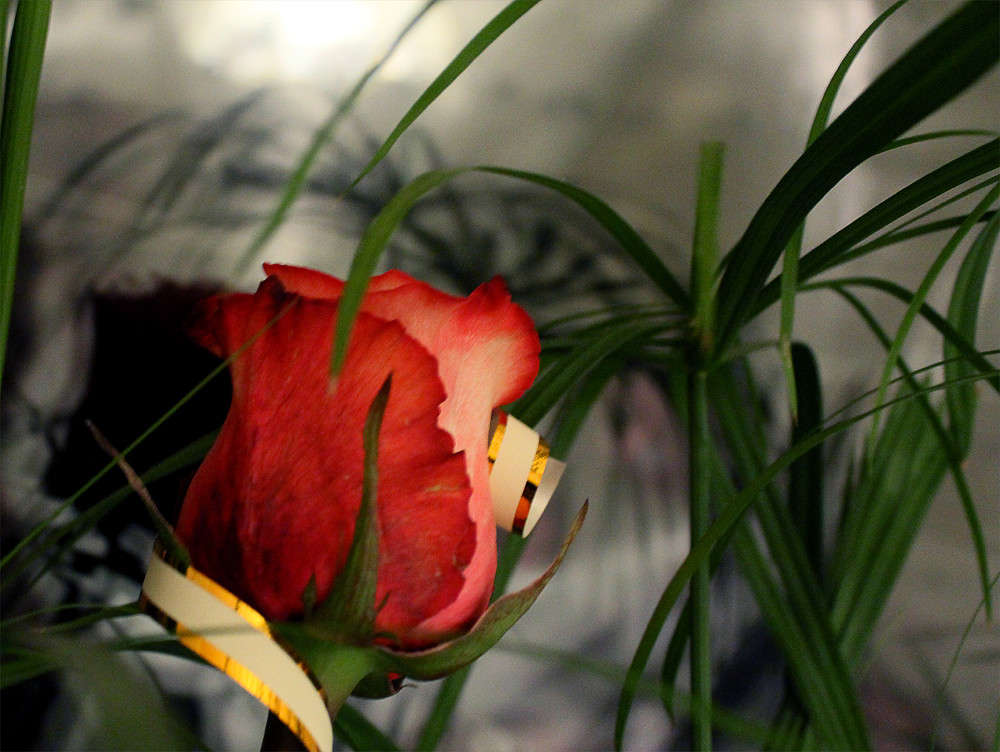 ... ����� �������  �� PhotoGeek.ru #������ ��� ������� #����� ��������������