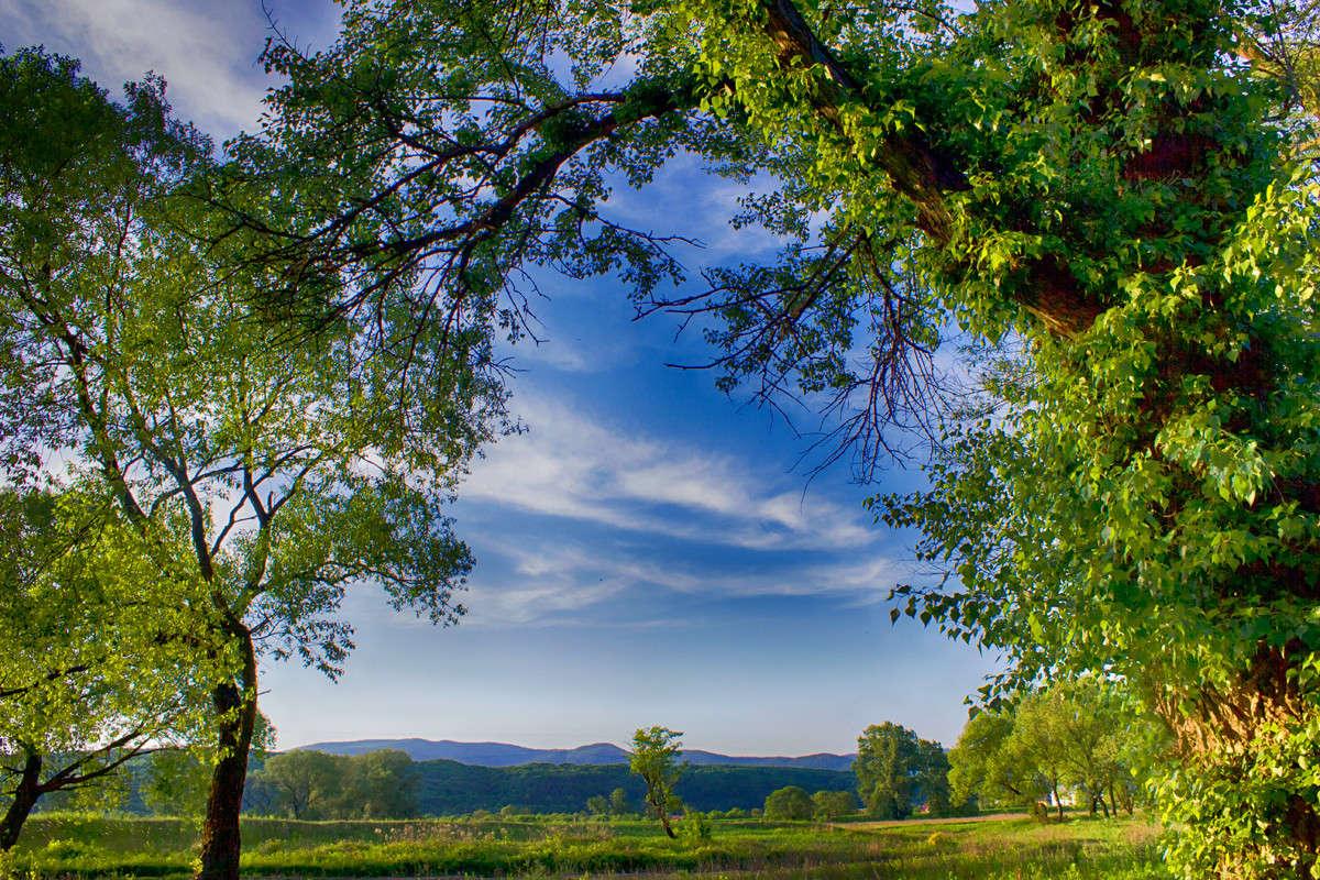 ������������� ���� ����� �������  �� PhotoGeek.ru #������ ��� ������� #����� ��������