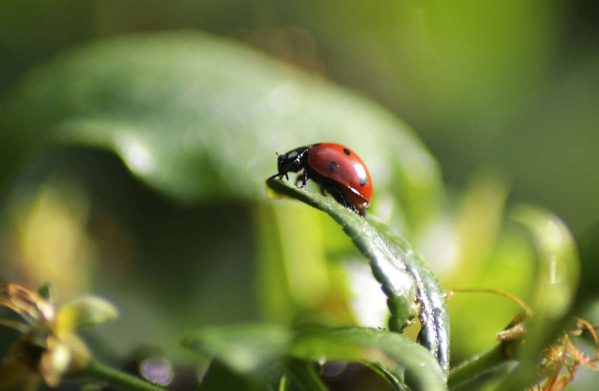 ������ ��� ��������? ����� �������� �������� �� PhotoGeek.ru #�����