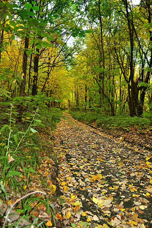 ������� �� ����� ����� �������� �������� �� PhotoGeek.ru #������ ��� �������