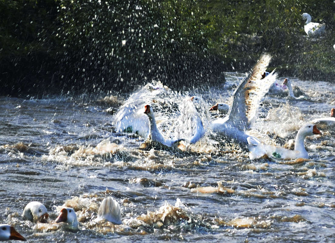 �����, ��������... ����� �������� �������� �� PhotoGeek.ru #�������� ���