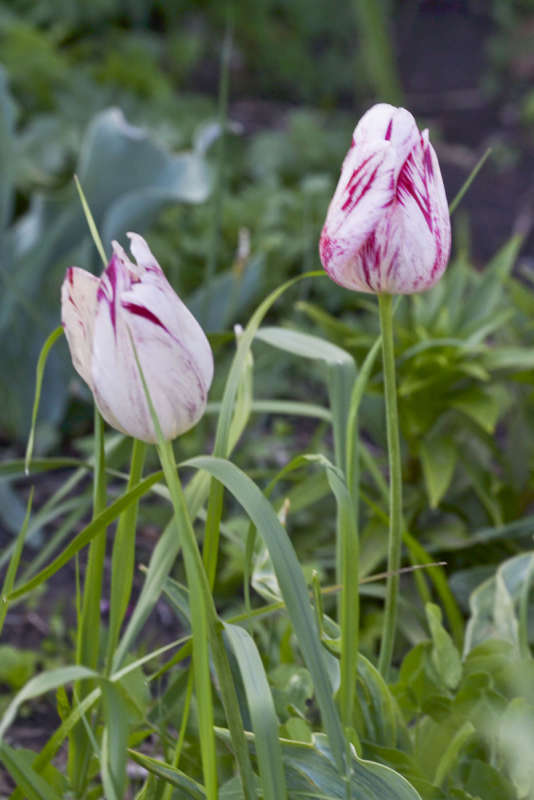 �������� �������� ����� �������� �������� �� PhotoGeek.ru #������ ��� ������� #����� ��������������