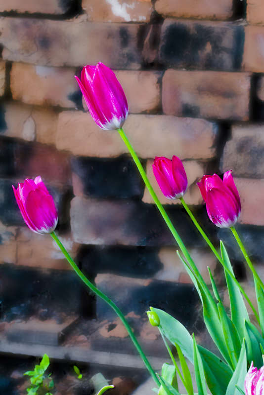 ������, ��������... ����� �������� �������� �� PhotoGeek.ru #������ ��� �������