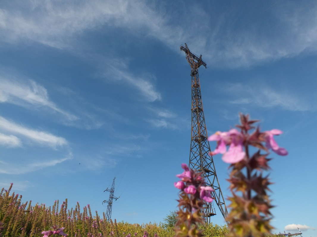 ������ ����� �����  �� PhotoGeek.ru #������ ��� ������� #����� ��������