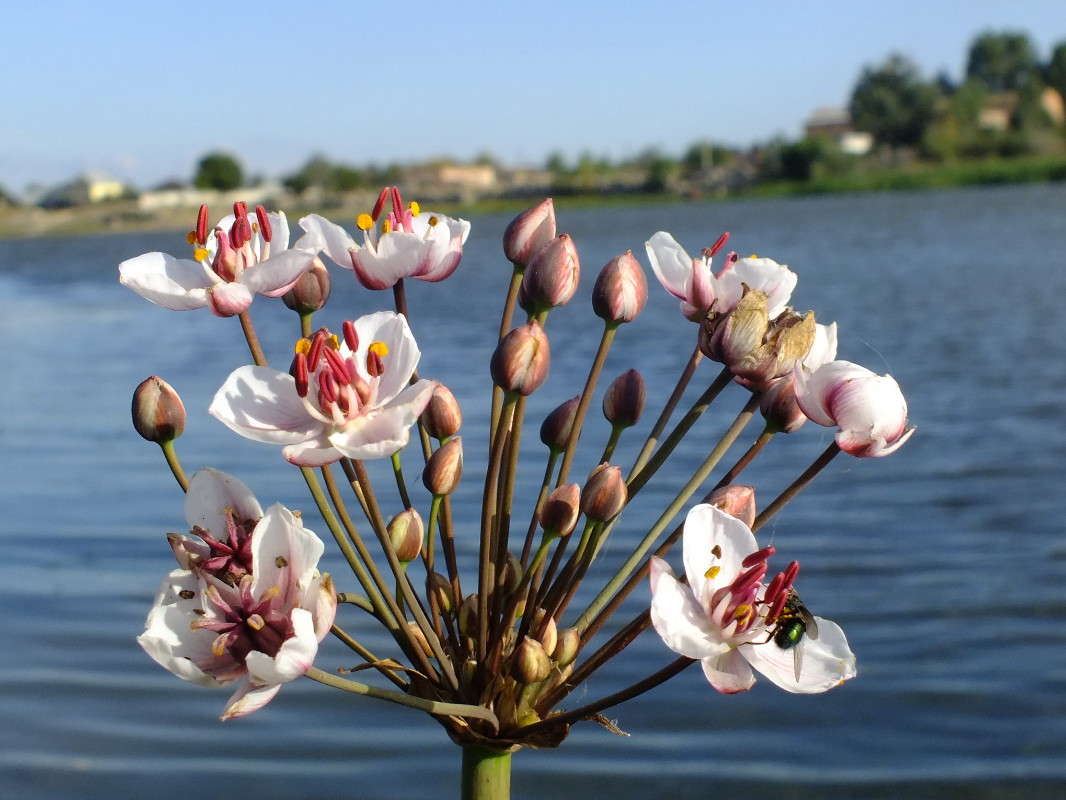 ... ����� �����  �� PhotoGeek.ru #������ ��� ������� #����� ��������