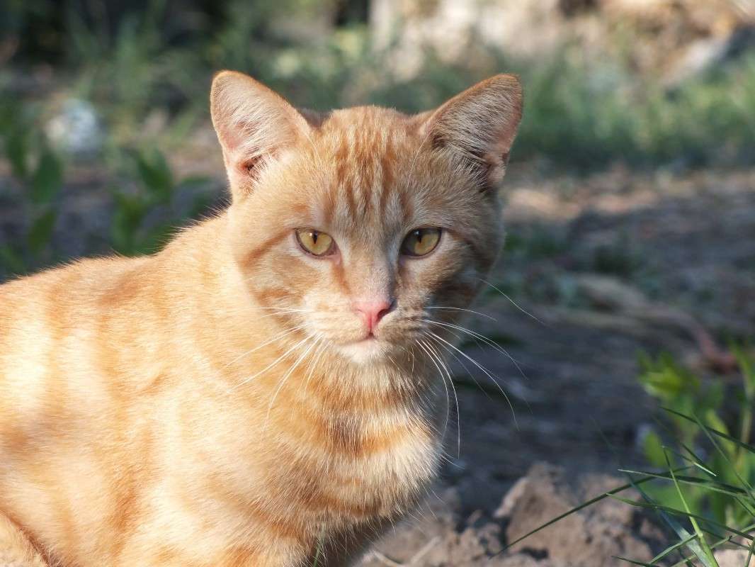 ... ����� �����  �� PhotoGeek.ru #�������� ��� #�������