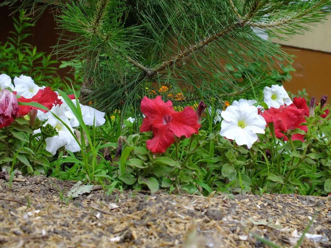 ... ����� �����  �� PhotoGeek.ru #������ ��� ������� #����� ��������������