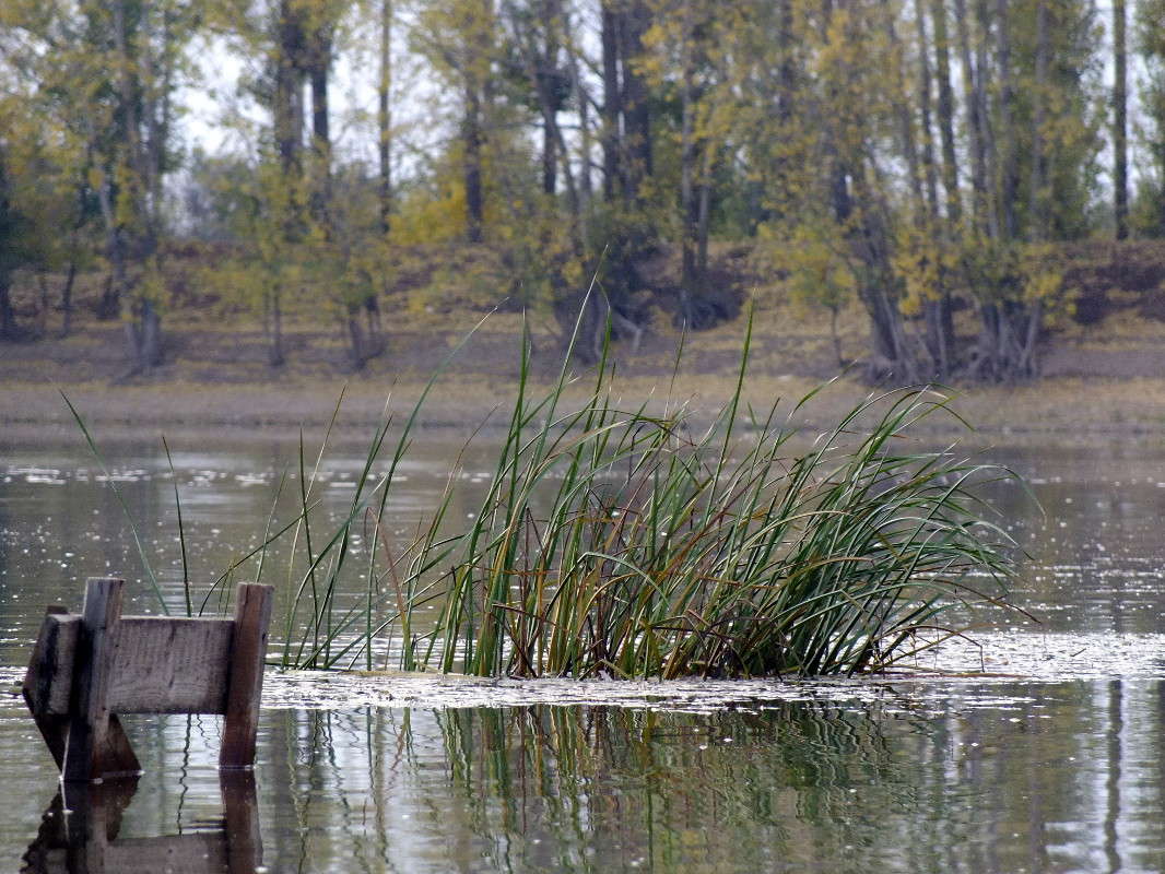 ... ����� �����  �� PhotoGeek.ru #������ ��� �������