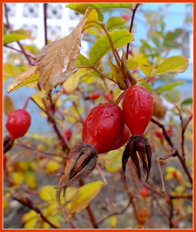 ������� � ����� �����  �� PhotoGeek.ru #������ ��� ������� #����� ��������������