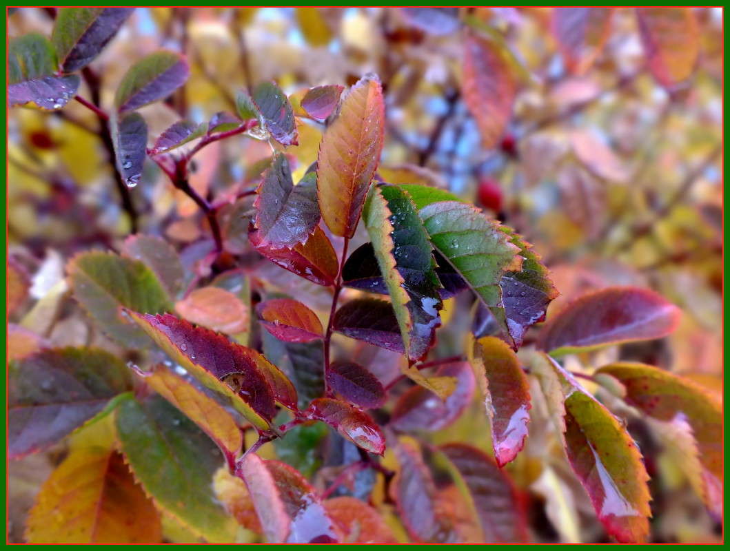 ������ ����� ����� �����  �� PhotoGeek.ru #������ ��� �������