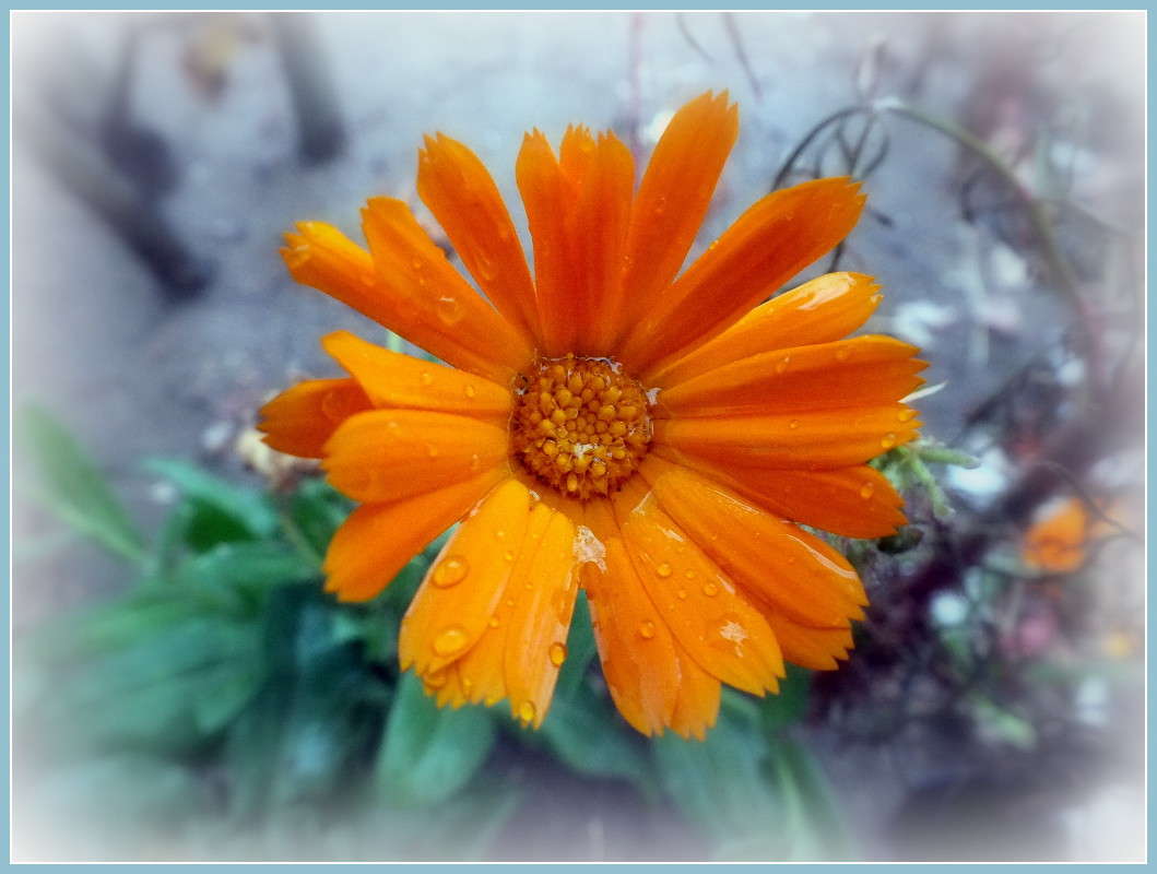 ��������� ����� ���� ����� ����� �����  �� PhotoGeek.ru #������ ��� ������� #����� ��������������