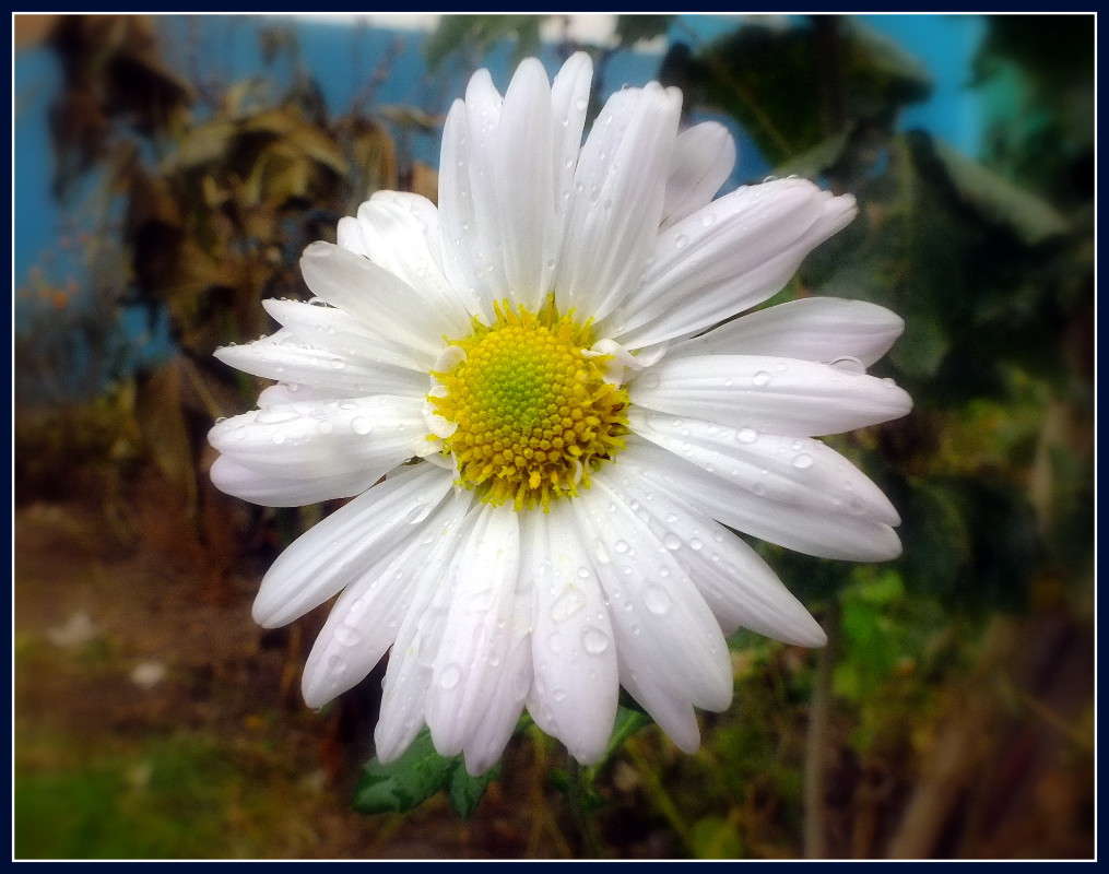 ��������� ����� ���� ����� ����� �����  �� PhotoGeek.ru #������ ��� ������� #����� ��������������