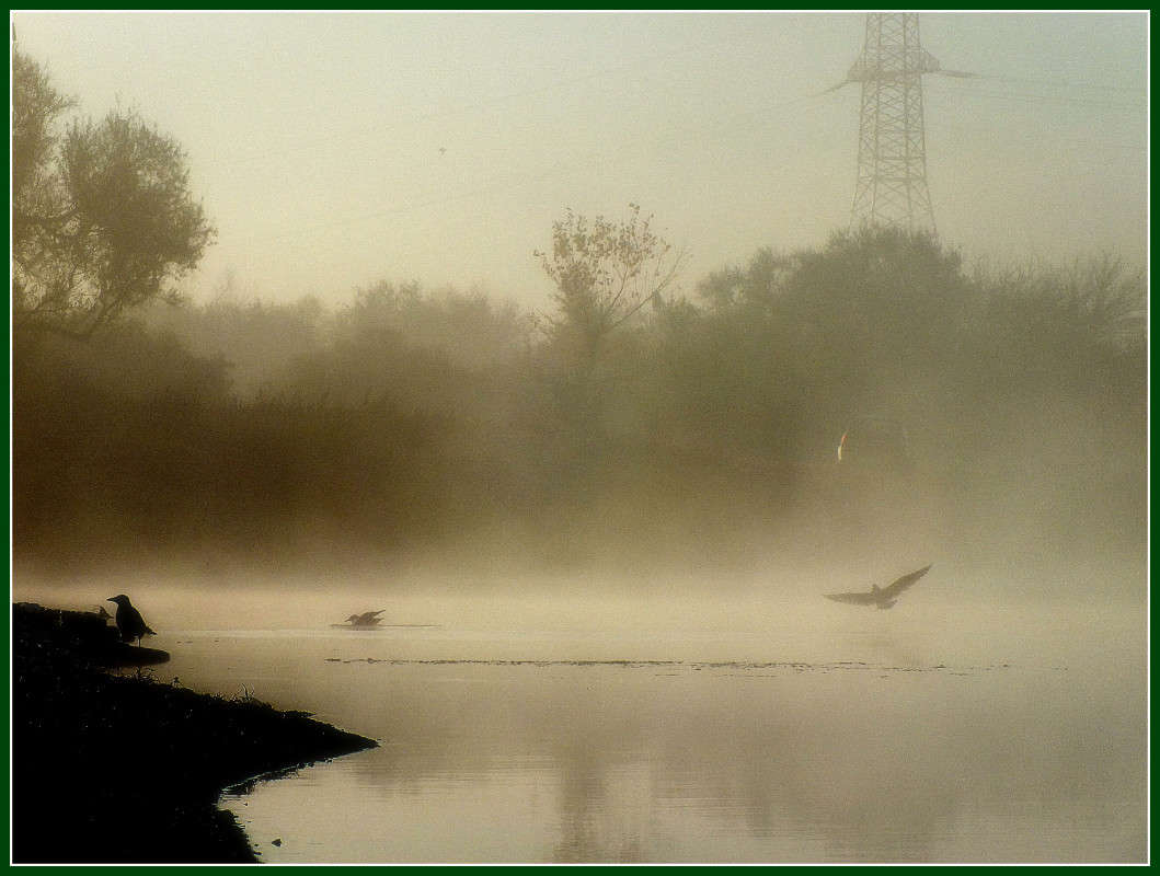 ���� �������� ����� �����  �� PhotoGeek.ru #������ ��� ������� #����� ��������