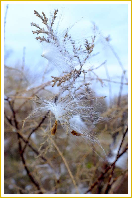 ���������... ����� �����  �� PhotoGeek.ru #����� #����� ��������������