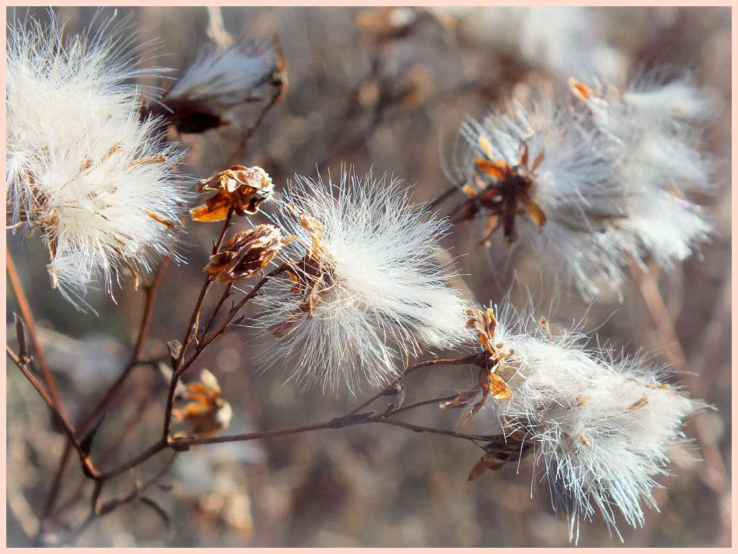 ... ����� �����  �� PhotoGeek.ru #����� #����� ��������������