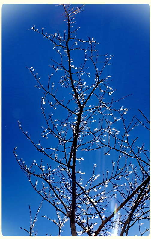 ... ����� �����  �� PhotoGeek.ru #������ ��� ������� #����� ��������������