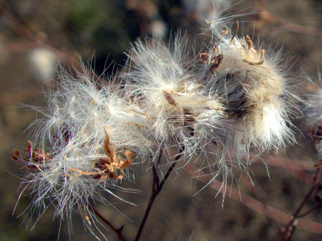 ... ����� �����  �� PhotoGeek.ru #������ ��� ������� #����� ��������������