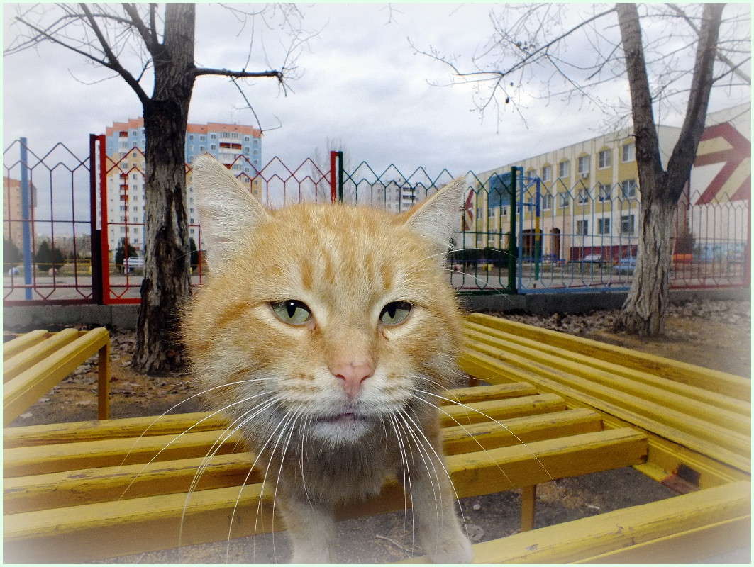 ... ����� �����  �� PhotoGeek.ru #�������� ���