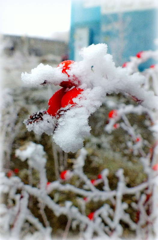 ... ����� �����  �� PhotoGeek.ru #������ ��� ������� #����� ��������������