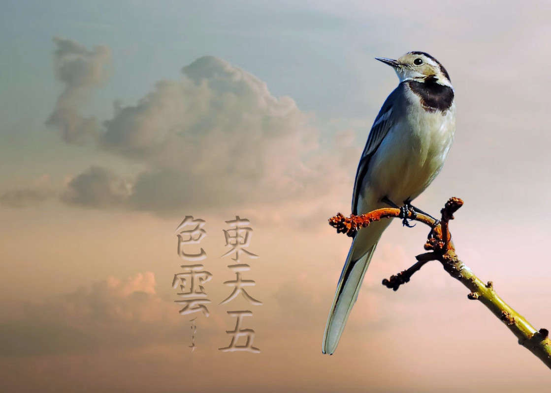 ���� �� �������.... ����� Ron Levi �� PhotoGeek.ru #�������� ���