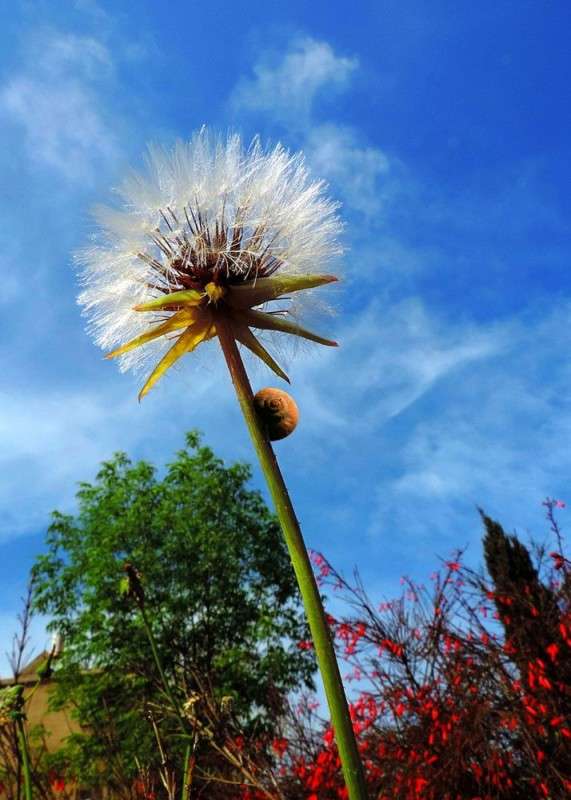 ������ �� ������ ����� Ron Levi �� PhotoGeek.ru #������ ��� ������� #������