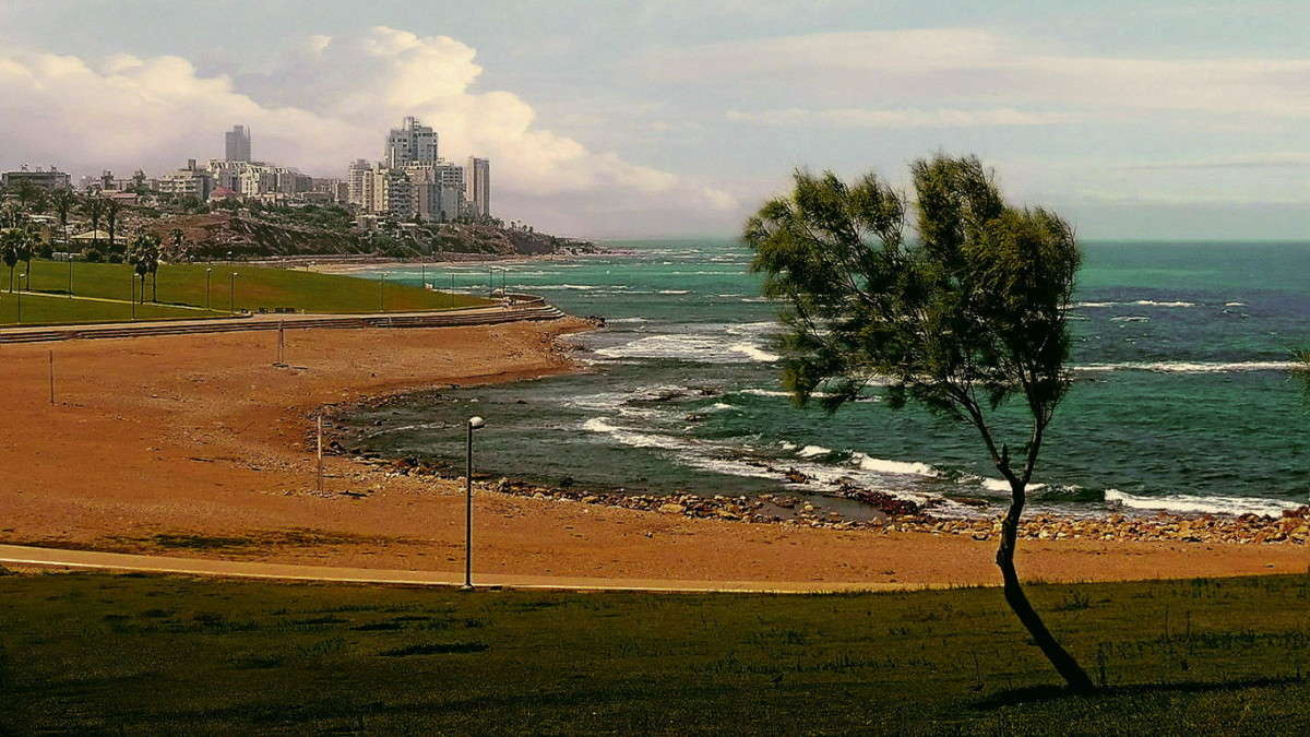 � ��������� ���� ������ ����� Ron Levi �� PhotoGeek.ru #�����