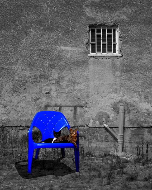 ����� ����� Ron Levi �� PhotoGeek.ru #�������� ���