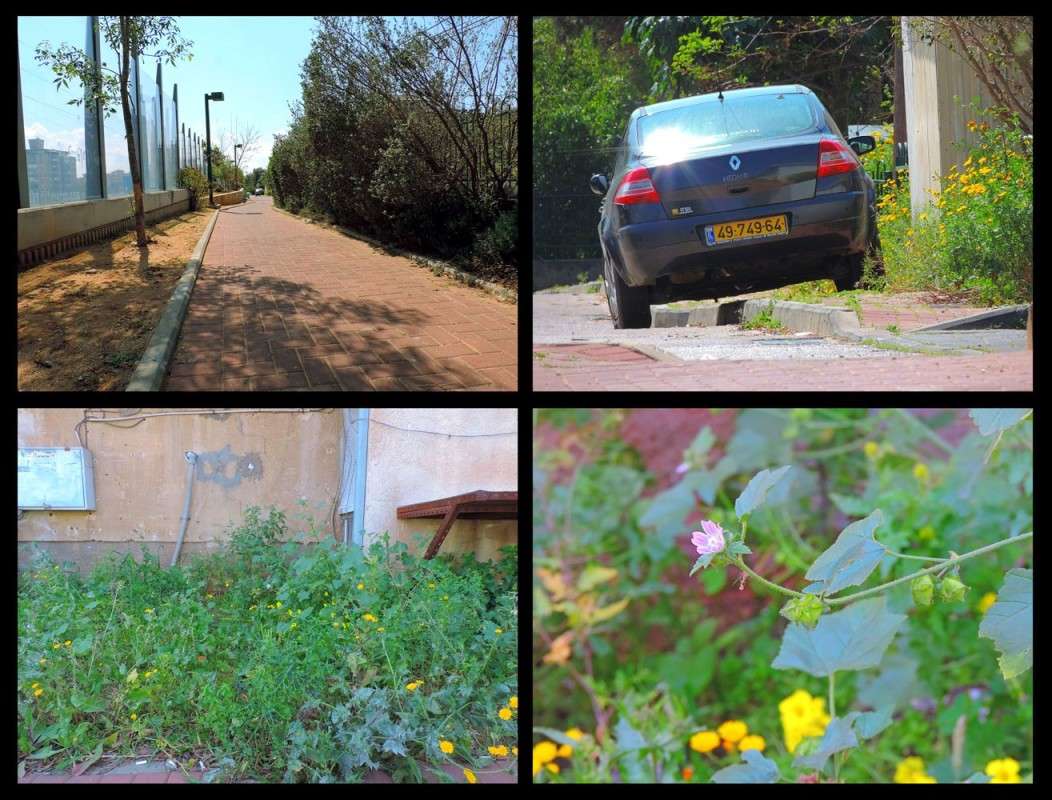 NIKON  COOLPIX  P520 ����� Ron Levi �� PhotoGeek.ru #������