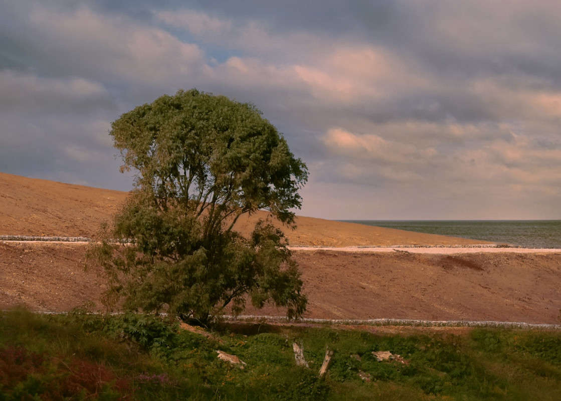 ��������� ������ ����� Ron Levi �� PhotoGeek.ru #������ ��� �������