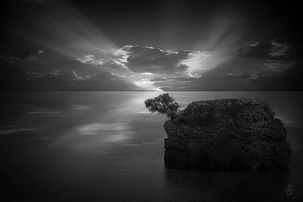 ������ ����� ����� Ron Levi �� PhotoGeek.ru #������ ��� ������� #�����-�����