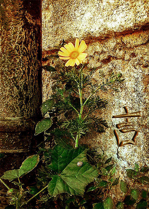 ��,��� �� �� �������� ����� Ron Levi �� PhotoGeek.ru #�������� ���������� #���������������