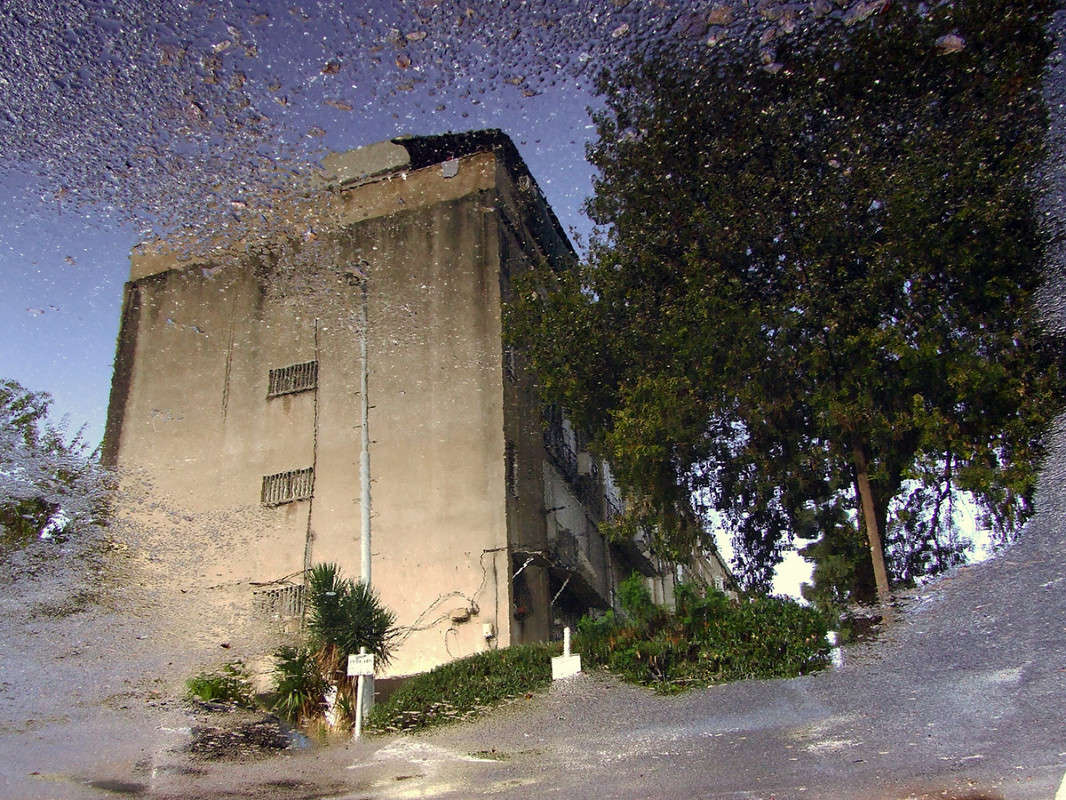 ������ ���� ����� Ron Levi �� PhotoGeek.ru #����� #�����-���