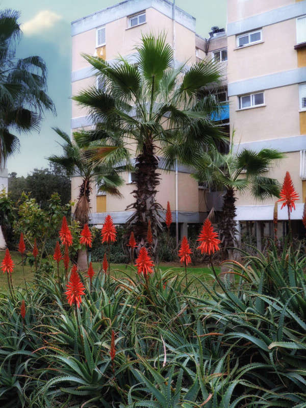 ���� ����� Ron Levi �� PhotoGeek.ru #�����