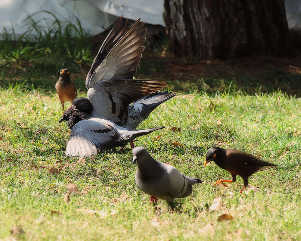 �����.... ����� Ron Levi �� PhotoGeek.ru #�������� ���