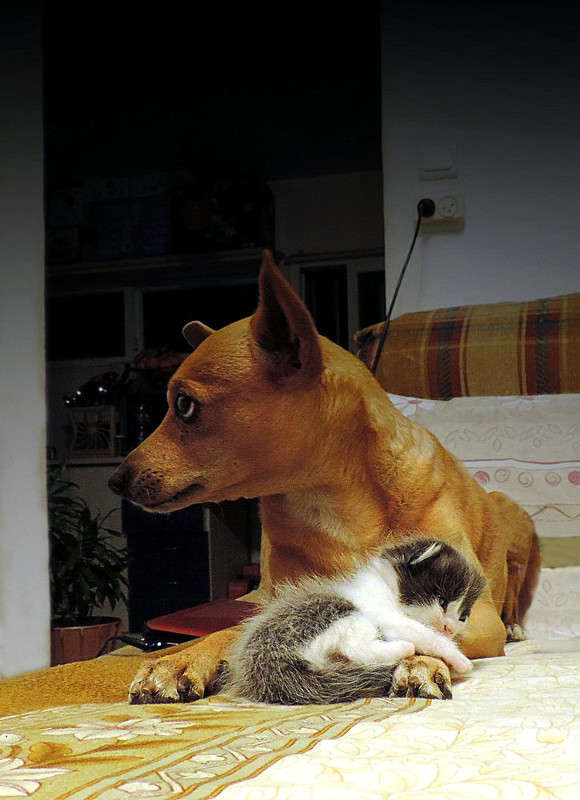 ���� ������ ���� ����� Ron Levi �� PhotoGeek.ru #�������� ���