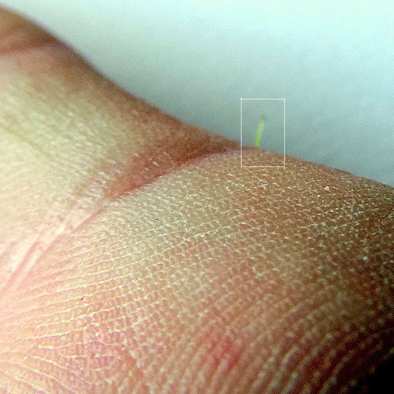 ������ ����� Ron Levi �� PhotoGeek.ru #������