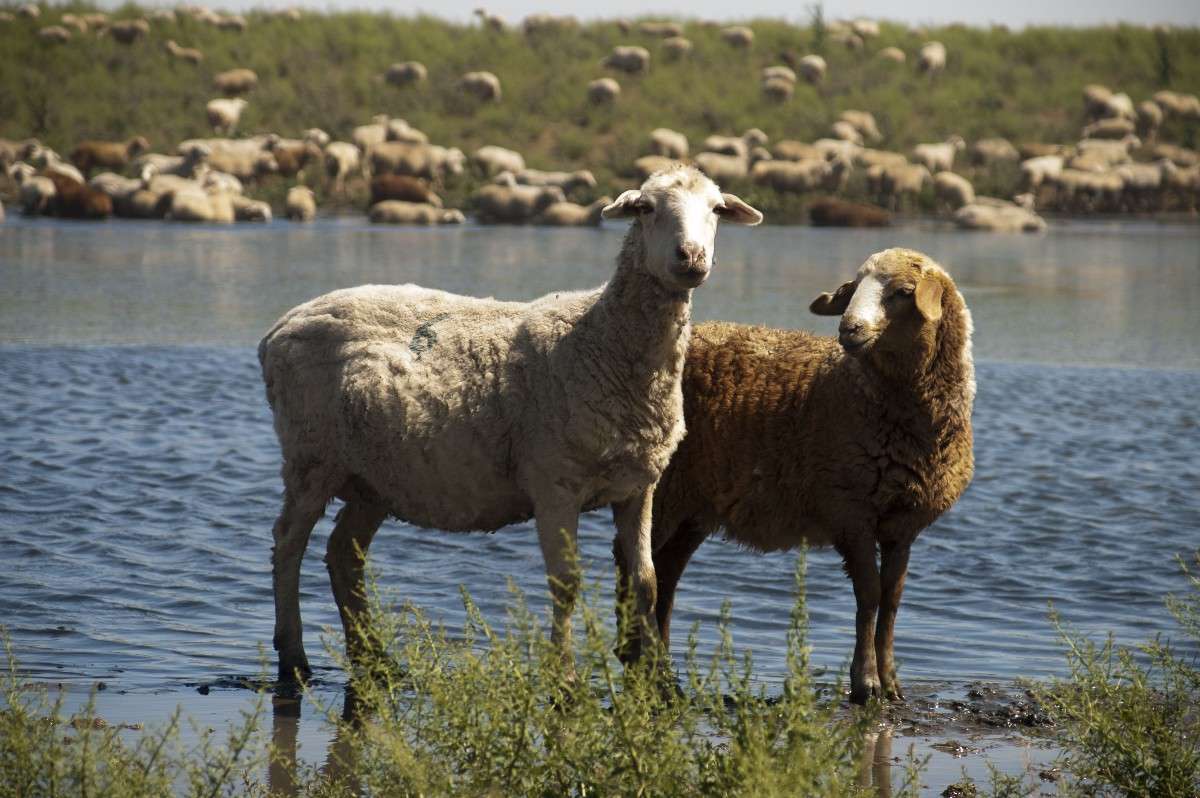 ... ����� ������  �� PhotoGeek.ru #�������� ���