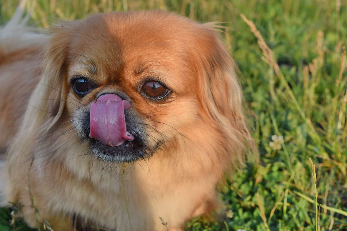 ... ����� ����� ����������� �� PhotoGeek.ru #�������� ���