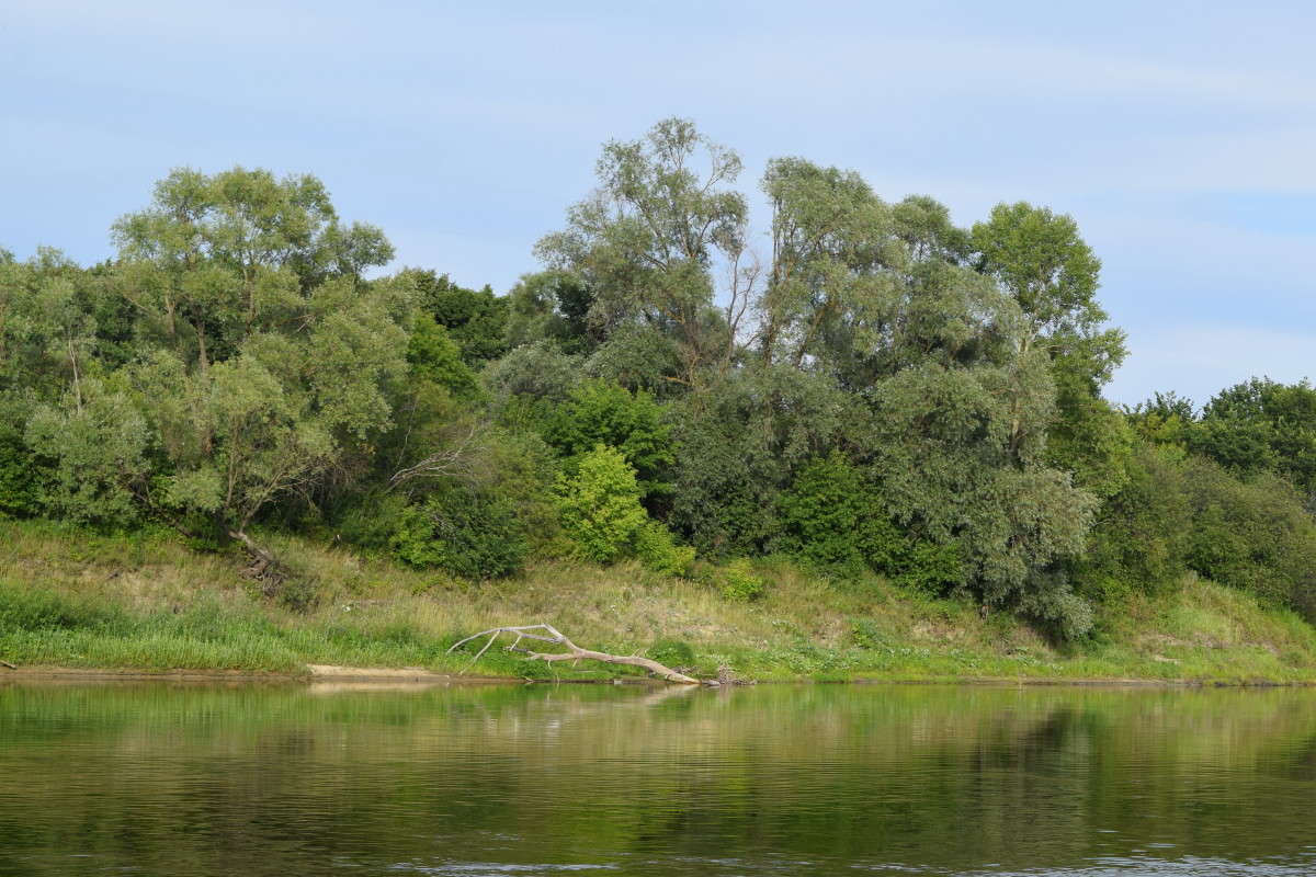 ... ����� ����� ����������� �� PhotoGeek.ru #������ ��� �������