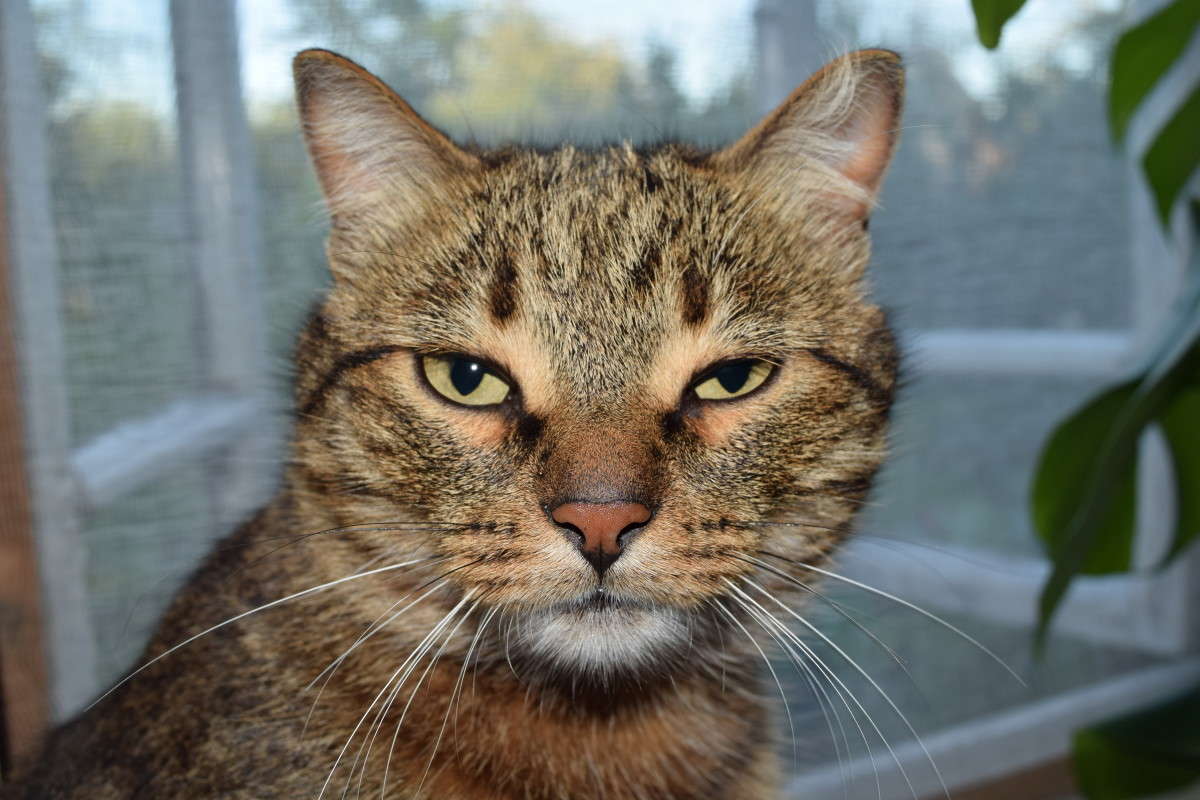 ... ����� ����� ����������� �� PhotoGeek.ru #�������� ��� #������� #�������� ���