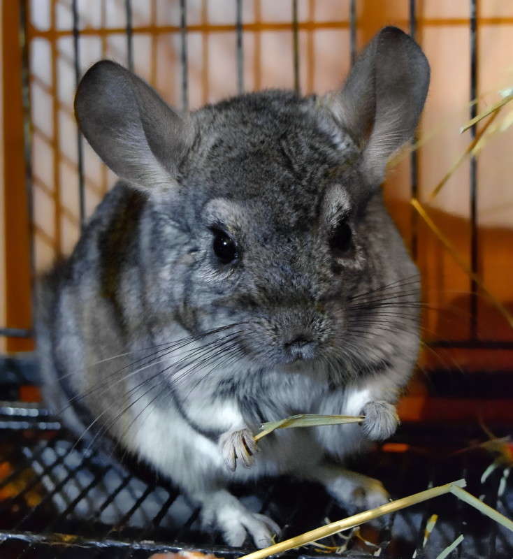 ... ����� ����� ����������� �� PhotoGeek.ru #�������� ��� #������� #�������� ���