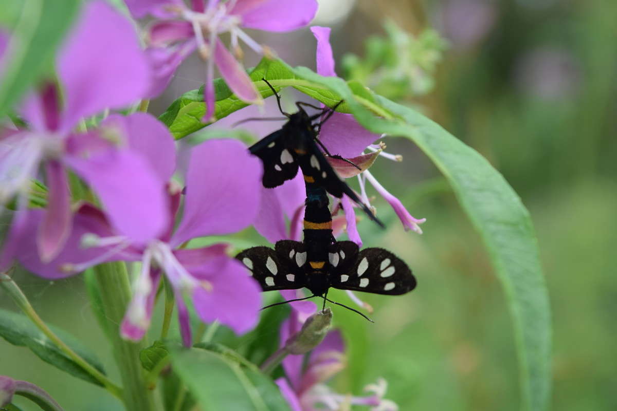 ... ����� ����� ����������� �� PhotoGeek.ru #����� #�������� ��� #������ ��� �������