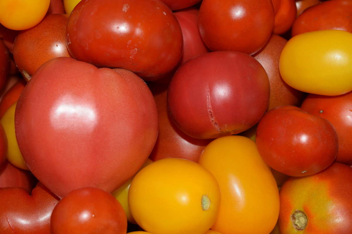 ������ ����� ����� ����������� �� PhotoGeek.ru #���������