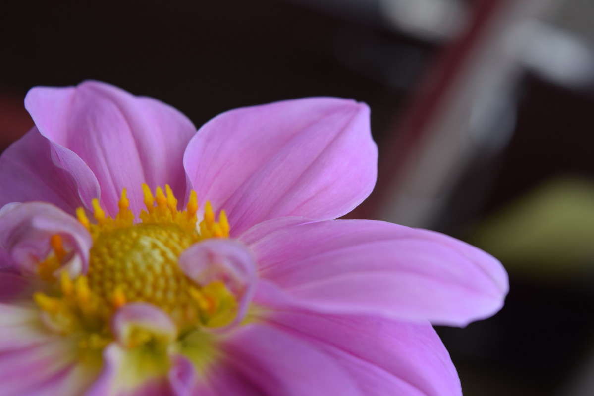 ... ����� ����� ����������� �� PhotoGeek.ru #����� #������ ��� ������� #����� ��������������