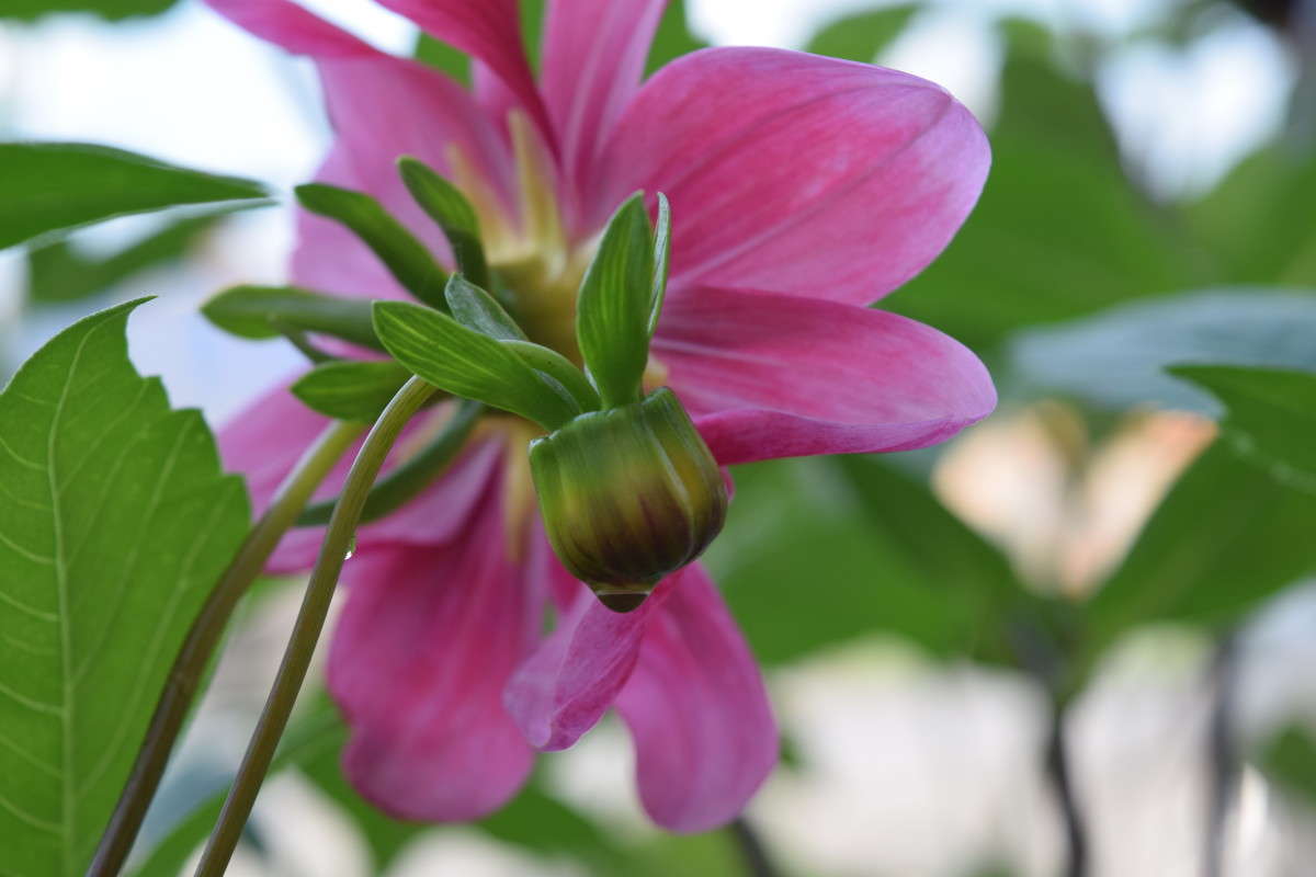 �������� ����� ����� ����������� �� PhotoGeek.ru #������ ��� ������� #����� ��������������