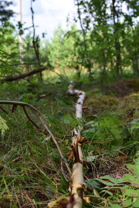 ������� ����� ����� ����������� �� PhotoGeek.ru #������ ��� ������� #����� �������������� #����� ��������