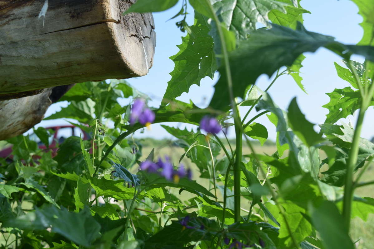 ... ����� ����� ����������� �� PhotoGeek.ru #������ ��� ������� #����� ��������������